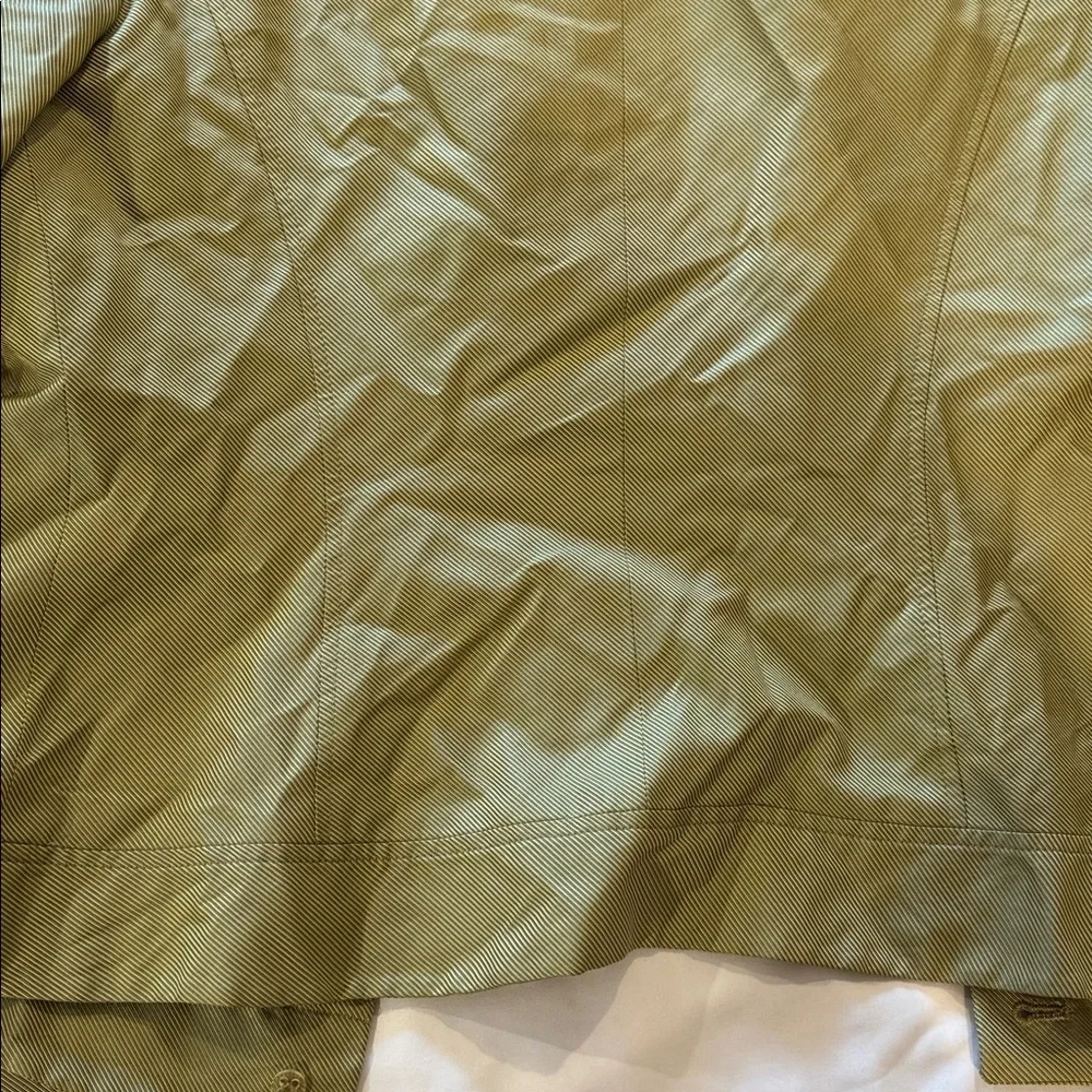 Carolina Herrera Light Olive Jacket 8 - Picture 7 of 8